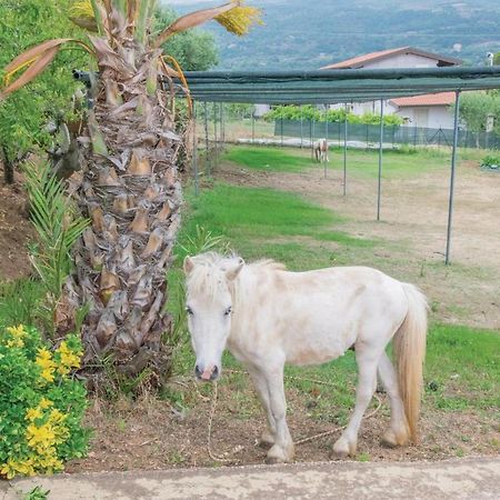 Apartament Casa Rosa Ricadi Zewnętrze zdjęcie